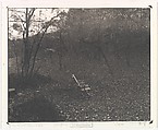 [Innisfree Garden, Millbrook, NY], John Yang  American, Palladium print