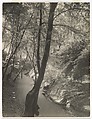 Footpath in the Siebengebirge, August Sander  German, Gelatin silver print