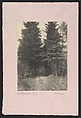 Redlands Woods, Frederick H. Evans  British, Platinum print