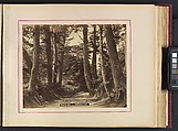 Views and Costumes of Japan, Raimund von Stillfried (Austrian, 1839–1911), Albumen silver prints with applied color