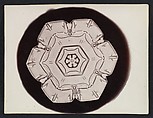 [Snow Crystal], Wilson Alwyn Bentley  American, Gelatin silver print