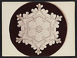 [Snow Crystal], Wilson Alwyn Bentley  American, Gelatin silver print