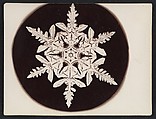 [Snow Crystal], Wilson Alwyn Bentley  American, Gelatin silver print