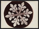 [Snow Crystal], Wilson Alwyn Bentley  American, Gelatin silver print