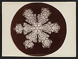 [Snow Crystal], Wilson Alwyn Bentley  American, Gelatin silver print