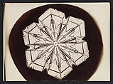 [Snow Crystal], Wilson Alwyn Bentley  American, Gelatin silver print