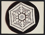 [Snow Crystal], Wilson Alwyn Bentley  American, Gelatin silver print