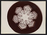 [Snow Crystal], Wilson Alwyn Bentley  American, Gelatin silver print