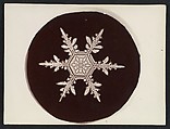 [Snow Crystal], Wilson Alwyn Bentley  American, Gelatin silver print