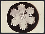 [Snow Crystal], Wilson Alwyn Bentley  American, Gelatin silver print