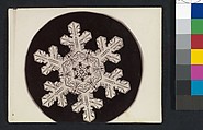 [Snow Crystal], Wilson Alwyn Bentley  American, Gelatin silver print