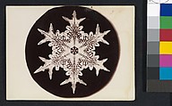 [Snow Crystal], Wilson Alwyn Bentley  American, Gelatin silver print