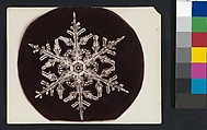 [Snow Crystal], Wilson Alwyn Bentley  American, Gelatin silver print