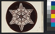 [Snow Crystal], Wilson Alwyn Bentley  American, Gelatin silver print