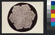 [Snow Crystal], Wilson Alwyn Bentley  American, Gelatin silver print