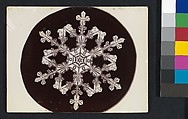 [Snow Crystal], Wilson Alwyn Bentley  American, Gelatin silver print