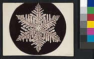 [Snow Crystal], Wilson Alwyn Bentley  American, Gelatin silver print