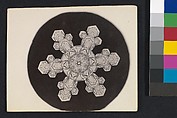 [Snow Crystal], Wilson Alwyn Bentley  American, Gelatin silver print