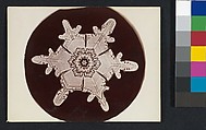 [Snow Crystal], Wilson Alwyn Bentley  American, Gelatin silver print