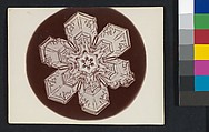 [Snow Crystal], Wilson Alwyn Bentley  American, Gelatin silver print