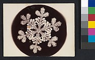 [Snow Crystal], Wilson Alwyn Bentley  American, Gelatin silver print
