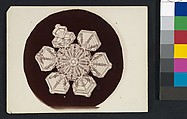 [Snow Crystal], Wilson Alwyn Bentley  American, Gelatin silver print