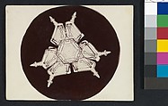 [Snow Crystal], Wilson Alwyn Bentley  American, Gelatin silver print