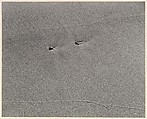 Untitled, Harry Callahan (American, Detroit, Michigan 1912–1999 Atlanta, Georgia), Gelatin silver prints