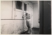 Lady in the shower, Coney Island, N.Y., Diane Arbus American, Gelatin silver print
