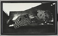 Vertigo, Shannon Bool Canadian, Gelatin silver print