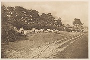 Pictorial Photographs. A Record of the Photographic Salon of 1897. In Seventeen Plates Reproduced in Photogravure, W. Thomas (British), Photogravures