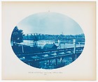 No. 186. Chicago, Burlington & Northern Rail Road Bridge Across Mouth of St. Croix River, Henry P. Bosse American, born Germany, Cyanotype