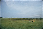 [366 Views of British Golf Courses Including Pinehurst, St. Andrews, Scotland (1956), and Hartsbourne, England (1954) for Sports Illustrated Article, "St. Andrews," July 1, 1957], Walker Evans (American, St. Louis, Missouri 1903–1975 New Haven, Connecticut), Color film transparency