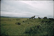 [366 Views of British Golf Courses Including Pinehurst, St. Andrews, Scotland (1956), and Hartsbourne, England (1954) for Sports Illustrated Article, "St. Andrews," July 1, 1957], Walker Evans (American, St. Louis, Missouri 1903–1975 New Haven, Connecticut), Color film transparency