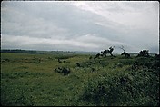 [366 Views of British Golf Courses Including Pinehurst, St. Andrews, Scotland (1956), and Hartsbourne, England (1954) for Sports Illustrated Article, "St. Andrews," July 1, 1957], Walker Evans (American, St. Louis, Missouri 1903–1975 New Haven, Connecticut), Color film transparency