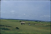 [366 Views of British Golf Courses Including Pinehurst, St. Andrews, Scotland (1956), and Hartsbourne, England (1954) for Sports Illustrated Article, "St. Andrews," July 1, 1957], Walker Evans (American, St. Louis, Missouri 1903–1975 New Haven, Connecticut), Color film transparency