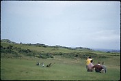 [366 Views of British Golf Courses Including Pinehurst, St. Andrews, Scotland (1956), and Hartsbourne, England (1954) for Sports Illustrated Article, "St. Andrews," July 1, 1957], Walker Evans (American, St. Louis, Missouri 1903–1975 New Haven, Connecticut), Color film transparency