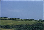 [366 Views of British Golf Courses Including Pinehurst, St. Andrews, Scotland (1956), and Hartsbourne, England (1954) for Sports Illustrated Article, "St. Andrews," July 1, 1957], Walker Evans (American, St. Louis, Missouri 1903–1975 New Haven, Connecticut), Color film transparency