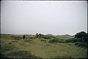 [366 Views of British Golf Courses Including Pinehurst, St. Andrews, Scotland (1956), and Hartsbourne, England (1954) for Sports Illustrated Article, "St. Andrews," July 1, 1957], Walker Evans (American, St. Louis, Missouri 1903–1975 New Haven, Connecticut), Color film transparency
