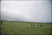 [366 Views of British Golf Courses Including Pinehurst, St. Andrews, Scotland (1956), and Hartsbourne, England (1954) for Sports Illustrated Article, "St. Andrews," July 1, 1957], Walker Evans (American, St. Louis, Missouri 1903–1975 New Haven, Connecticut), Color film transparency