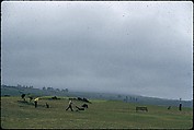 [366 Views of British Golf Courses Including Pinehurst, St. Andrews, Scotland (1956), and Hartsbourne, England (1954) for Sports Illustrated Article, "St. Andrews," July 1, 1957], Walker Evans (American, St. Louis, Missouri 1903–1975 New Haven, Connecticut), Color film transparency