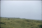 [366 Views of British Golf Courses Including Pinehurst, St. Andrews, Scotland (1956), and Hartsbourne, England (1954) for Sports Illustrated Article, "St. Andrews," July 1, 1957], Walker Evans (American, St. Louis, Missouri 1903–1975 New Haven, Connecticut), Color film transparency