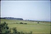 [366 Views of British Golf Courses Including Pinehurst, St. Andrews, Scotland (1956), and Hartsbourne, England (1954) for Sports Illustrated Article, "St. Andrews," July 1, 1957], Walker Evans (American, St. Louis, Missouri 1903–1975 New Haven, Connecticut), Color film transparency