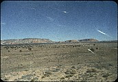 [210 Landscape Views from Train Window: "California Zephyr Train Trip" and "Chicago Train Trip"], Walker Evans (American, St. Louis, Missouri 1903–1975 New Haven, Connecticut), Color film transparency