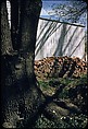[30 Views of Woodpile and Shed, Possibly Old Lyme, Connecticut], Walker Evans (American, St. Louis, Missouri 1903–1975 New Haven, Connecticut), Color film transparency