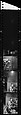 [823 Views and Studies of Urban and Rural Poverty, Commissioned by Fortune Magazine for "People and Places in Trouble", Published March 1961, With Related Personal Snapshots Showing Robert Frank, Mary Frank, Eleanor Clark, and Isabelle Evans], Walker Evans (American, St. Louis, Missouri 1903–1975 New Haven, Connecticut), Film negative