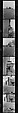 [823 Views and Studies of Urban and Rural Poverty, Commissioned by Fortune Magazine for "People and Places in Trouble", Published March 1961, With Related Personal Snapshots Showing Robert Frank, Mary Frank, Eleanor Clark, and Isabelle Evans], Walker Evans (American, St. Louis, Missouri 1903–1975 New Haven, Connecticut), Film negative