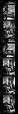[823 Views and Studies of Urban and Rural Poverty, Commissioned by Fortune Magazine for "People and Places in Trouble", Published March 1961, With Related Personal Snapshots Showing Robert Frank, Mary Frank, Eleanor Clark, and Isabelle Evans], Walker Evans (American, St. Louis, Missouri 1903–1975 New Haven, Connecticut), Film negative