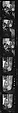 [823 Views and Studies of Urban and Rural Poverty, Commissioned by Fortune Magazine for "People and Places in Trouble", Published March 1961, With Related Personal Snapshots Showing Robert Frank, Mary Frank, Eleanor Clark, and Isabelle Evans], Walker Evans (American, St. Louis, Missouri 1903–1975 New Haven, Connecticut), Film negative