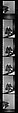 [21 Portraits of Unidentified Foundation Head, Commissioned by Vogue Magazine and Probably Unpublished], Walker Evans (American, St. Louis, Missouri 1903–1975 New Haven, Connecticut), Film negative